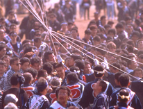 hamamatu