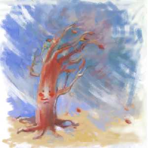 wind