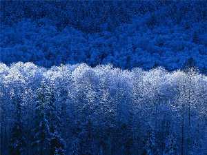 winter