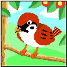 sparrow"