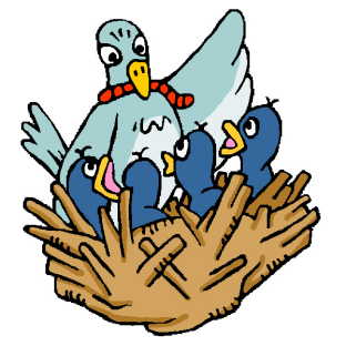 Birds