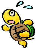 tortoise
