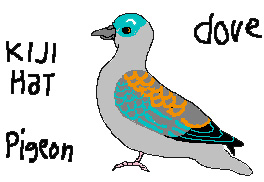DOVE