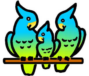 Birds