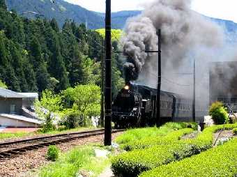 train