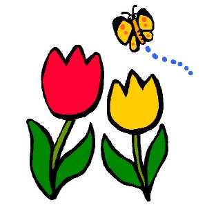tulip